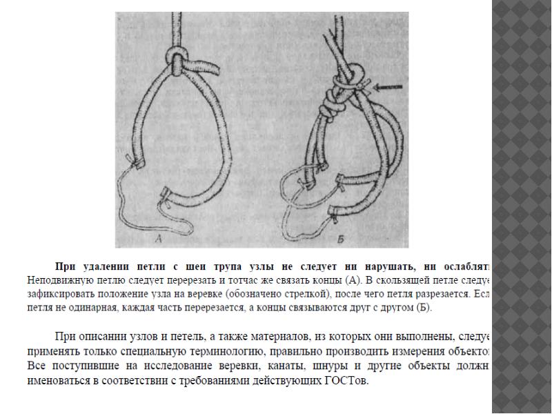 Схема петли