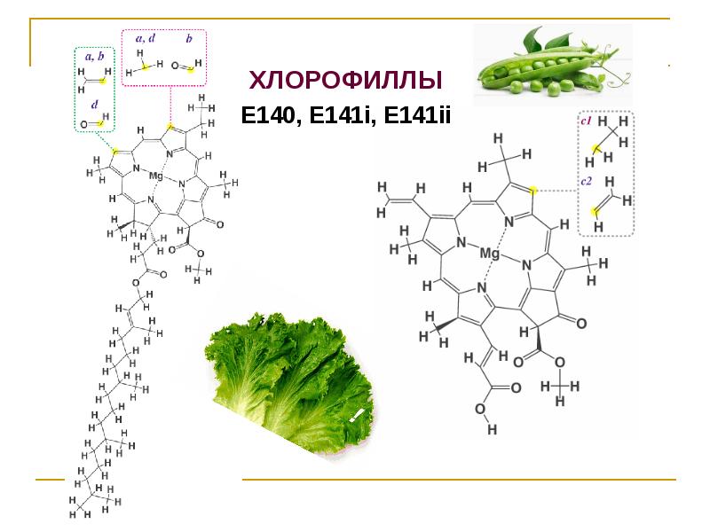 Хлорофиллы а б с д. Е140 хлорофилл. Структура молекулы хлорофилла. Строение молекулы хлорофилла. Хлорофилл схема.