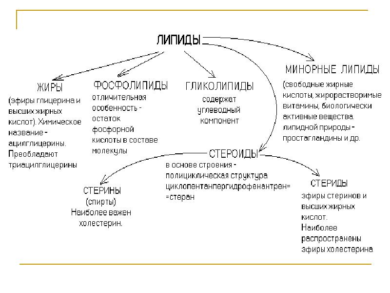 Основные биологические функции липидов. Общая характеристика липидов. Состав липидов таблица. Классификацию и функции липидов в организме.. Основные группы липидов и их функции.