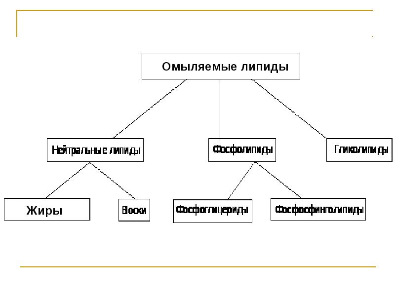 Гены липидов. Нейтральные липиды. Липиды нервной ткани таблица. Липиды нейтральные жиры. Липиды, которыми богата нервная ткань.