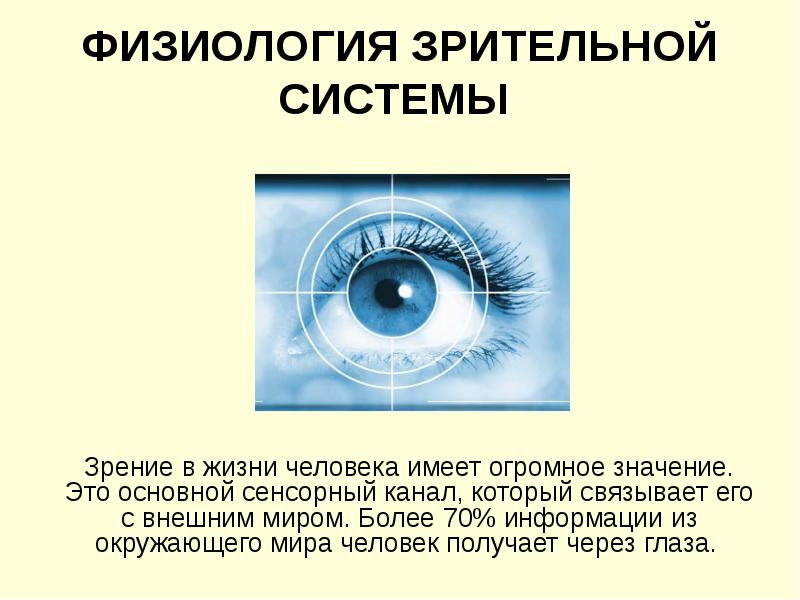 Внешние сенсорные системы. Роль зрения. Физиология зрения. Значение зрительной системы. Сенсорная система зрения физиология.