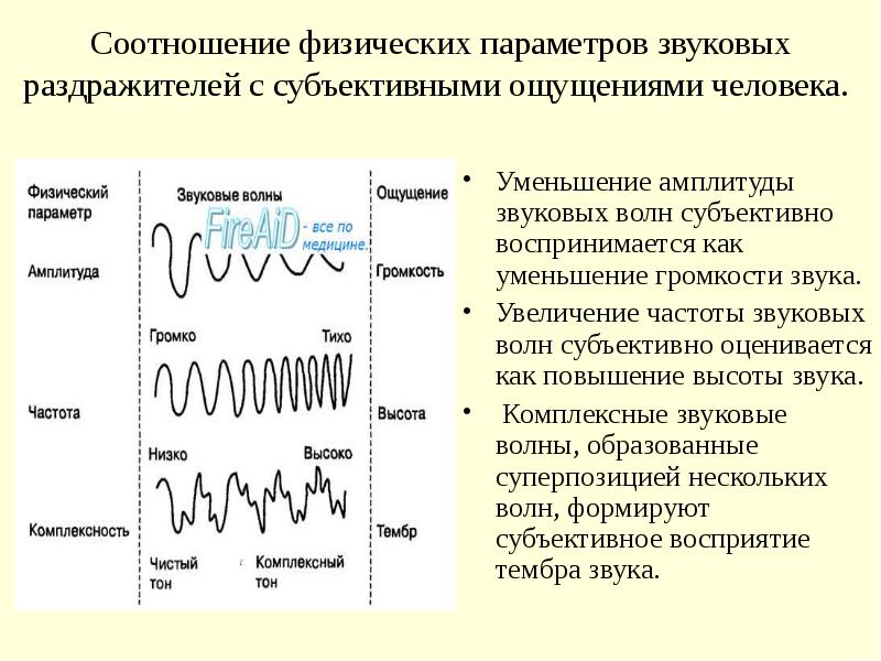 Частота звуковой волны с длиной 5 м. Тональность звука физиология. Тональность частота звука физиология. Тональность (частота) звука.. Различение сигналов физиология.