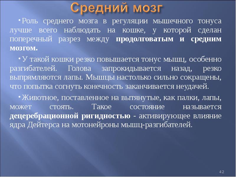 Мозговой тонус