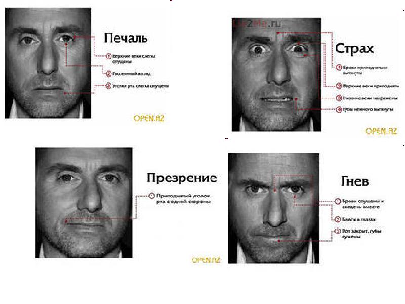 Онлайн тест по чертам лица по фото