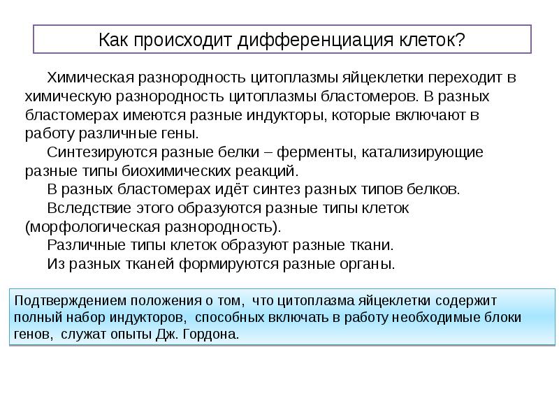 Проявление генов в онтогенезе презентация 10 класс