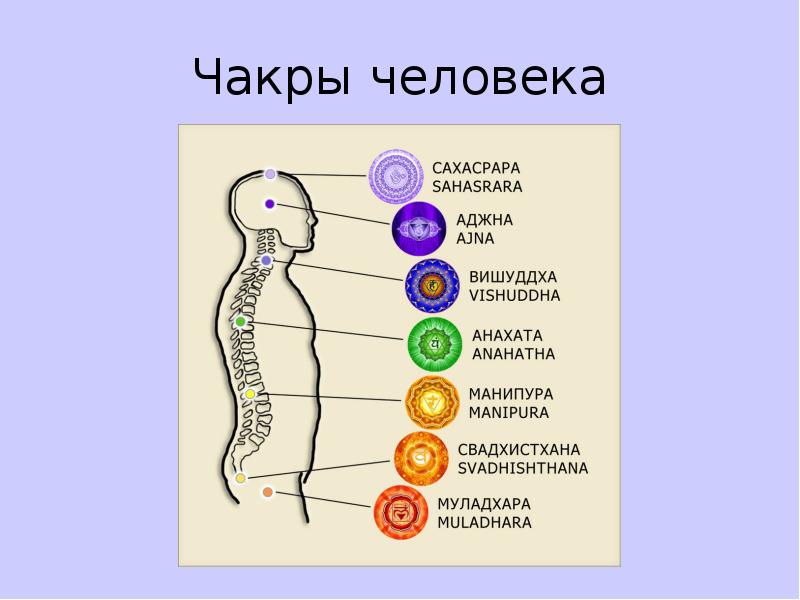 Развитие чакр. Чакры человека. Система чакр человека. Чакра Родник. Чакра страха.