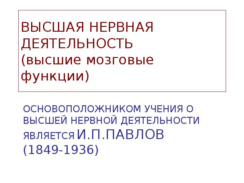 Низшая нервная деятельность. Высшей мозговые функции это.