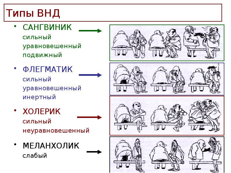 Тест на меланхолика флегматика холерика