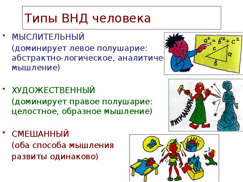 Высшая деятельность. 11. Художественный, мыслительный и смешанный типы ВНД.. Типы ВНД человека. Мыслительный Тип ВНД. Художественный Тип ВНД.