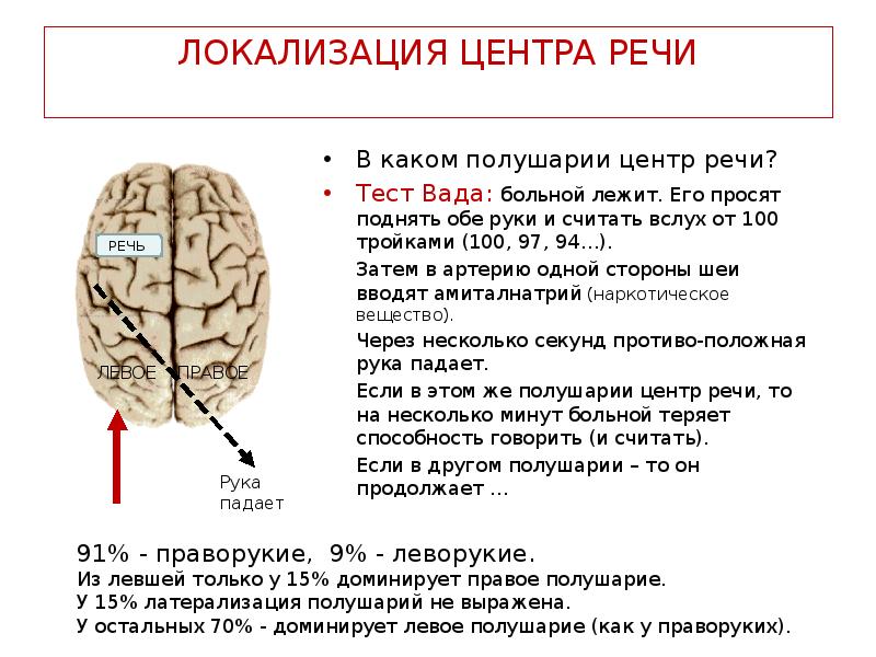 Поражение левого полушария мозга. Центры речи в правом полушарии. Левое и правое полушарие мозга. Полушарие отвечающее за речь.