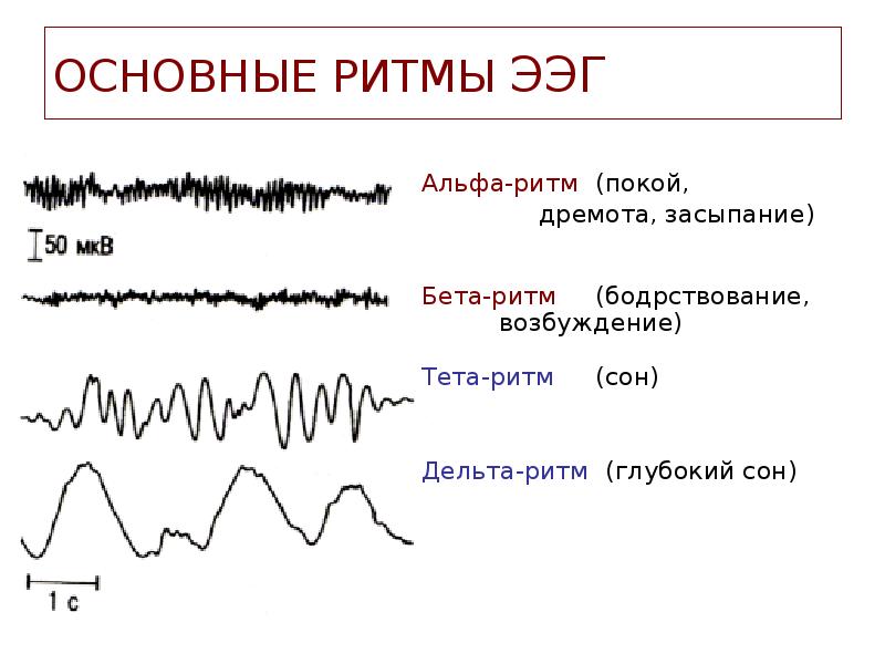 Доминирующий альфа ритм