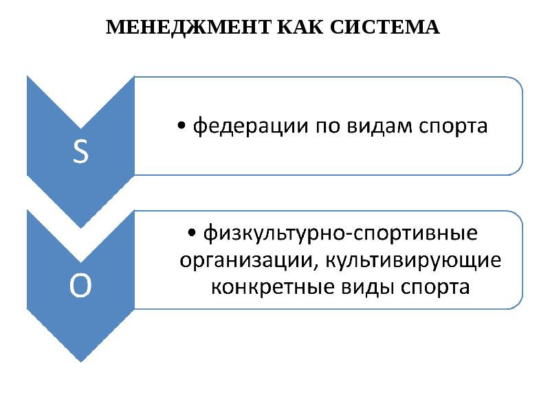 Маркетинг и менеджмент в спорте проект