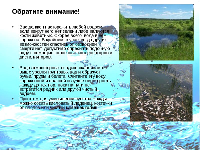 Обратите внимание!
Вас должен насторожить любой водоем, если вокруг него нет Обратите внимание!
Вас должен насторожить любой водоем, если вокруг него нет