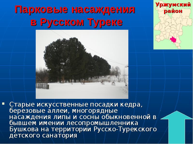 Охрана природы в кировской области 4 класс проект по окружающему миру