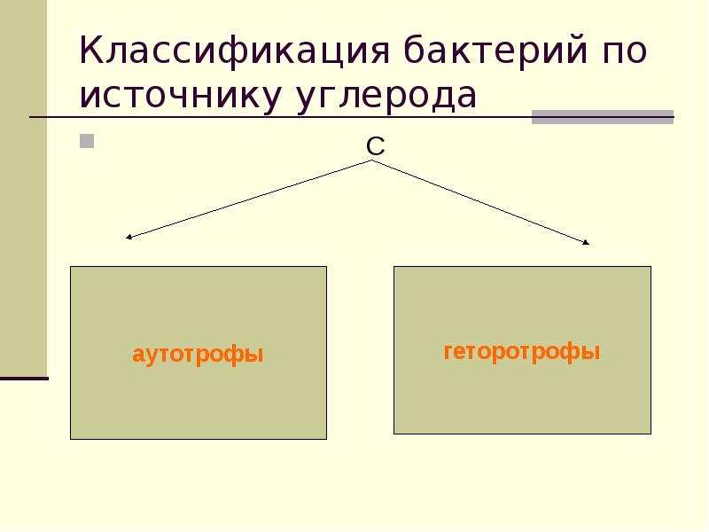 Источник углерода. Питание бактерий по источнику углерода. По отношению к источникам углерода.