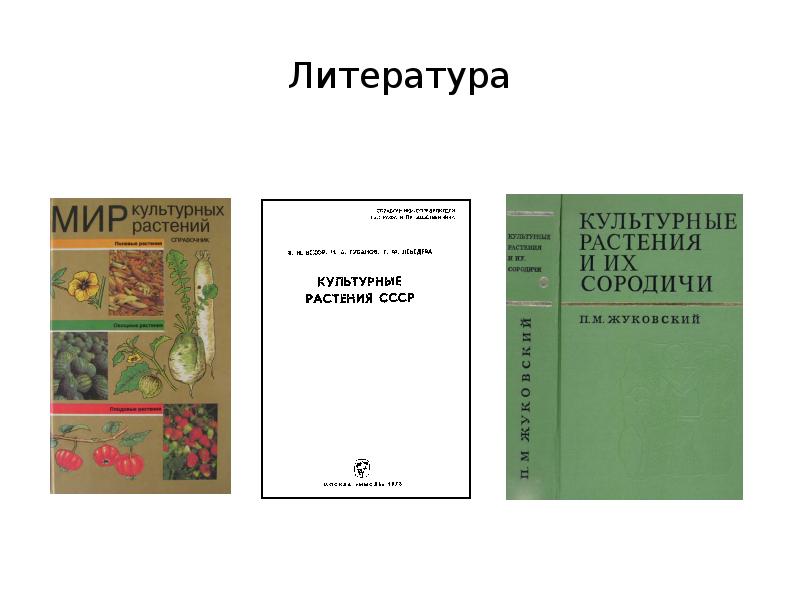 тест по биологии культурные растения. тест по биологии культурные растения. тест по биологии культурные растения. дикорастущие и культурные растения. культурные растения 6 класс.
