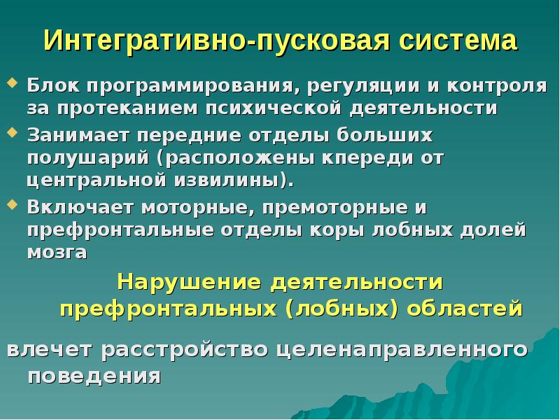 Блок программирования и контрол. Программирование регуляция контроль. Функция программирования регуляции и контроля. Функция программирования регуляции и контроля. 3.