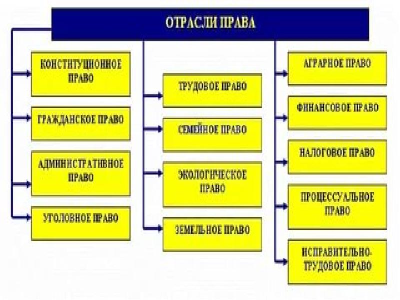 Отрасли права презентация 9 класс