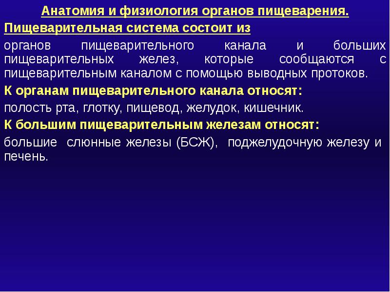 Пищеварительная система человека презентация 11 класс