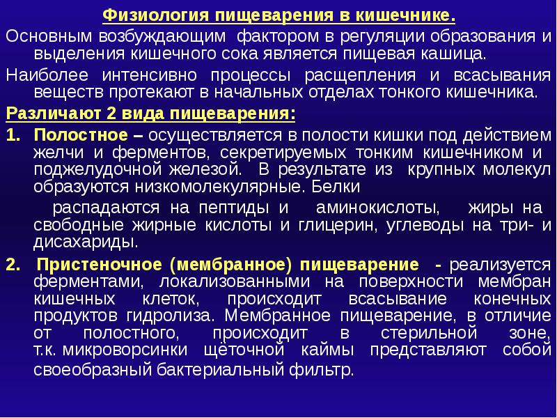 Физиология. Полостное пищеварение это физиология. Физиологические механизмы пищеварения. Физиологические процессы обеспечивающие функцию пищеварения. Пищеварение в тонком кишечнике физиология.