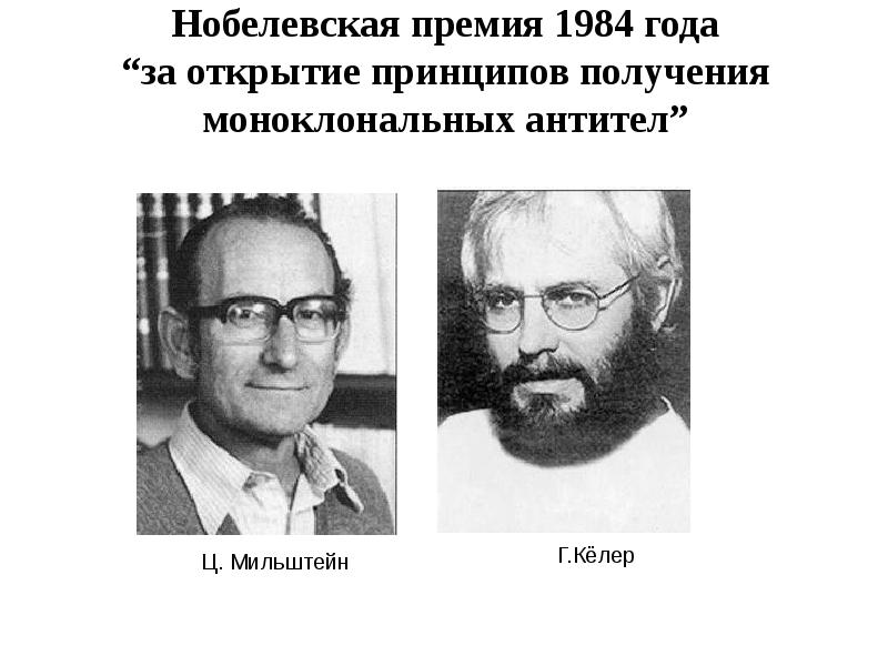 Нобелевская премия 1984 года “за открытие принципов получения моноклональных антител” Нобелевская премия 1984 года “за открытие принципов получения моноклональных антител”