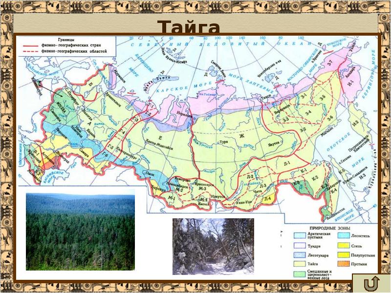 Карта тайги россии с городами подробная