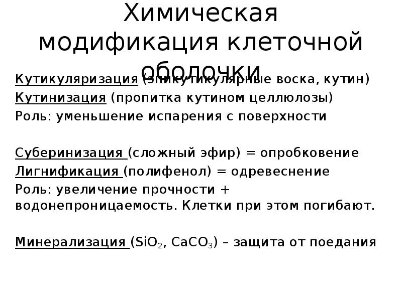 Химическая модификация. Кутинизация клеточной оболочки. Одревеснение лигнификация. Суберинизация опробковение характерна для клеток. Видоизменения клеточной оболочки.