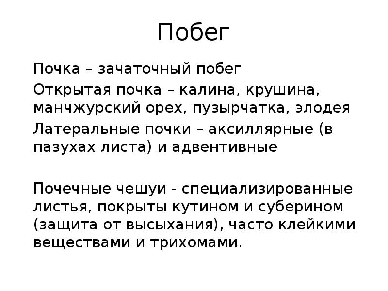 Почему семена называют зачаточными. Прочему почки называют зачаточным побегом. Почему почку называют зачаточным побегом. Вывод почка является зачаточным побегом. Почка это зачаточный побег.