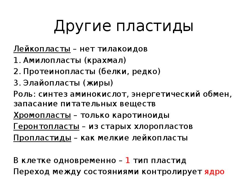 Запасание липидов. Запасание питательных веществ. Запасание питательных веществ фото. Геронтопласты.