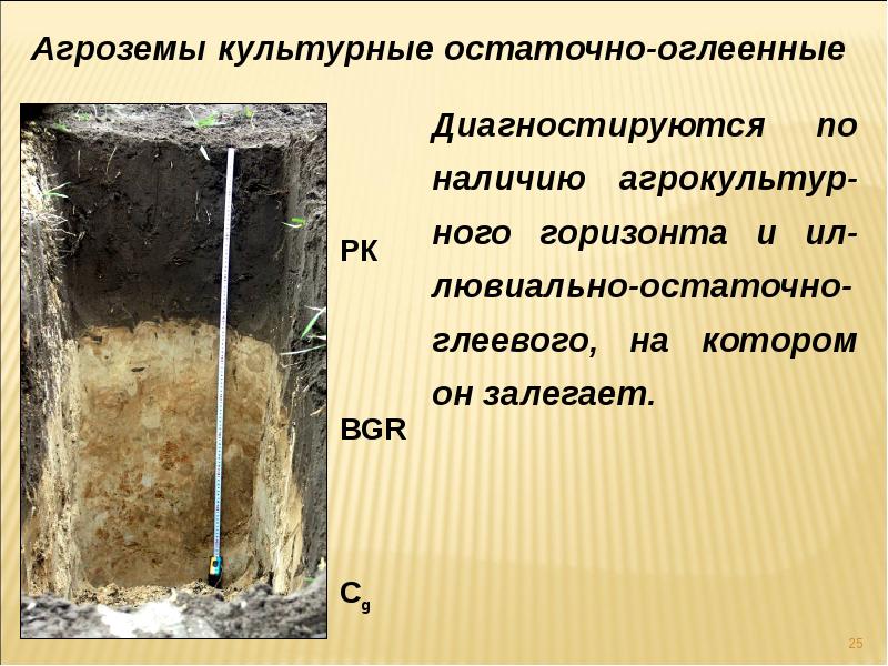 Аллювиальные почвы презентация