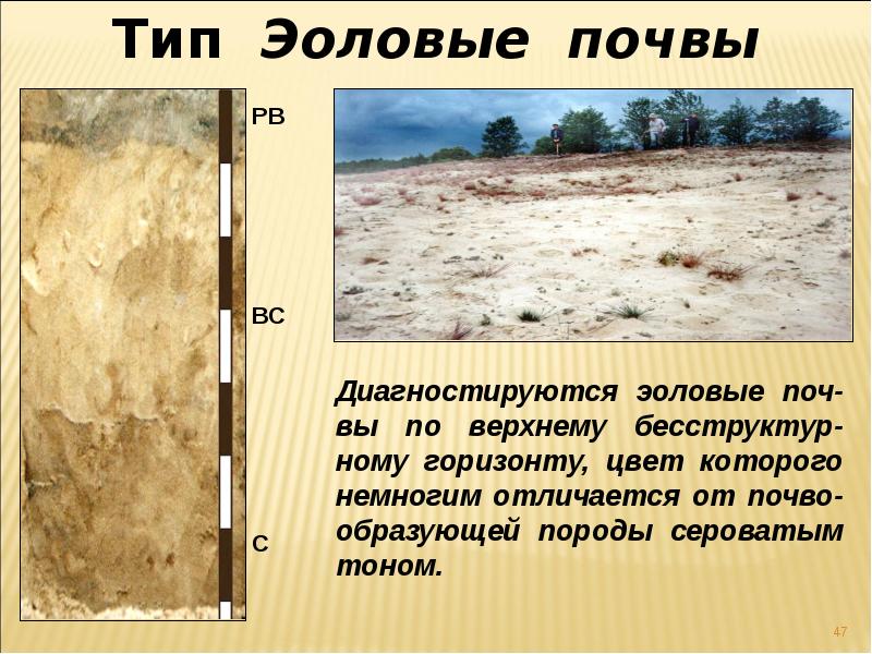 Антропогенные изменения почвы презентация