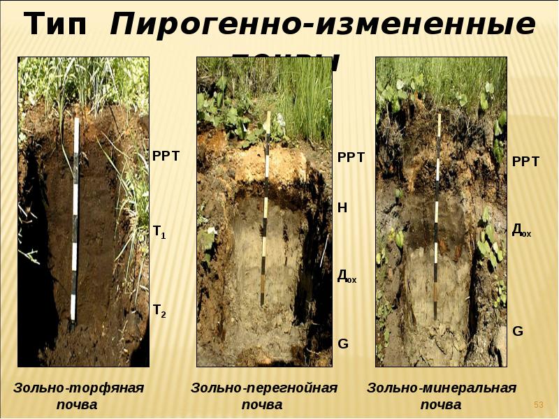 Форма почв. Антропогенные почвы. Антропогенно преобразованные почвы. Антропогенные почвы типы. Почвенный профиль антропогенной почвы.