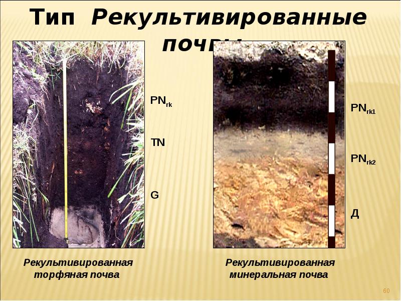 Изменения почвы