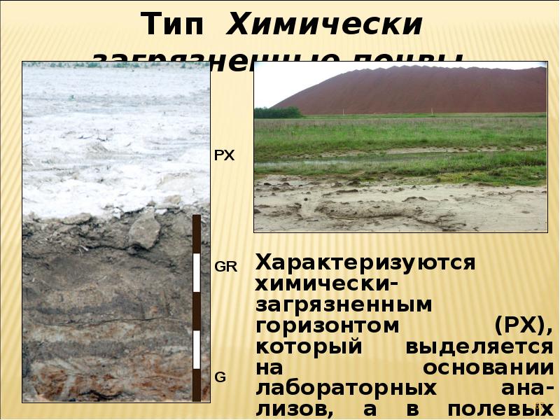 Антропогенные изменения почвы презентация по биологии