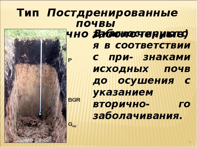 Антропогенные почвы. Антропогенно-нарушенные почвы. Химически-преобразованные почвы. Почвенные преобразования. Классификация антропогенных почв.