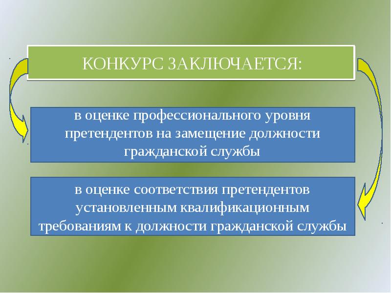 Схему процедуры конкурса на замещение должности главы администрации городского округа