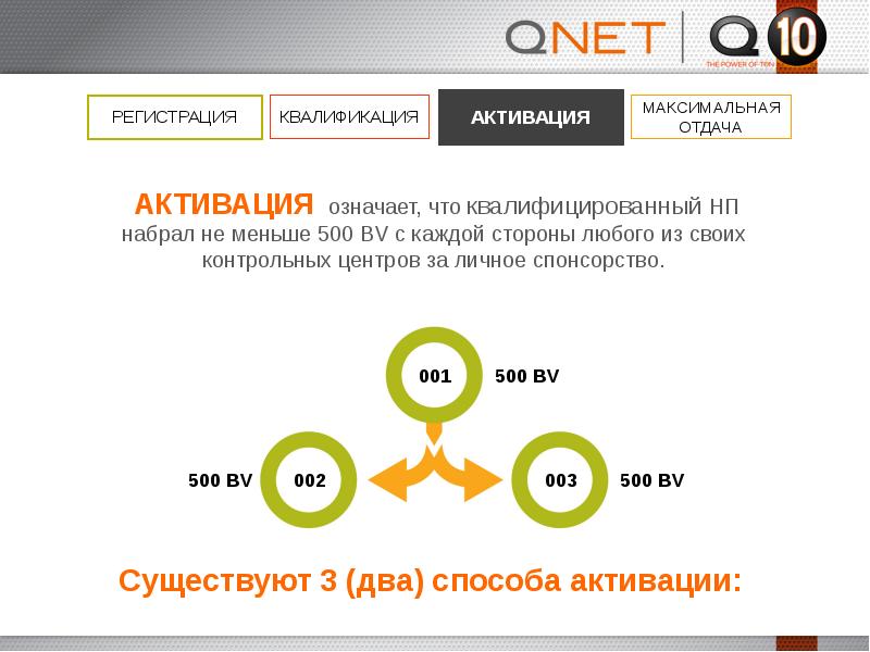 Бизнес план qnet