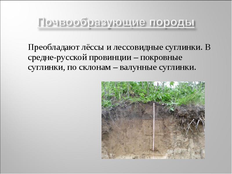 Преобладают лёссы и лессовидные суглинки. В средне-русской провинции – покровные суглинки, Преобладают лёссы и лессовидные суглинки. В средне-русской провинции – покровные суглинки,