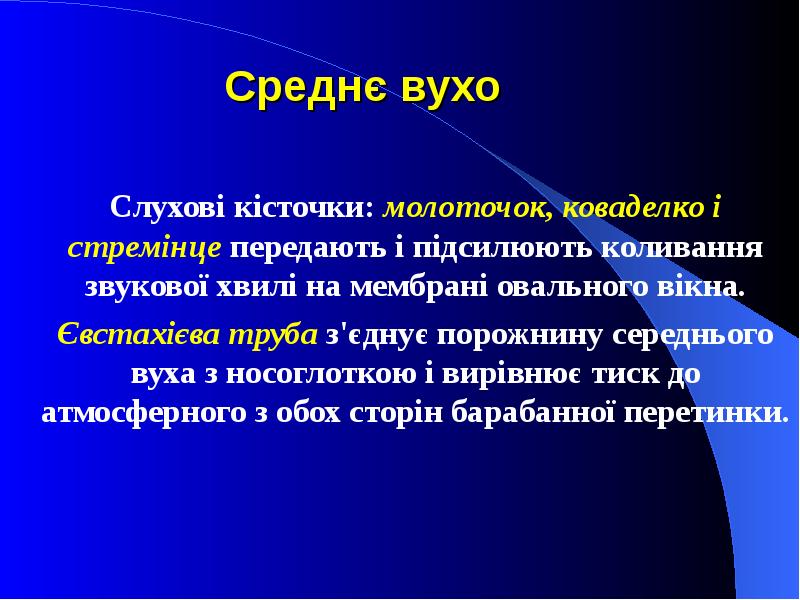 Среднє вухо Слухові кісточки: молоточок, коваделко і стремінце передають і підсилюють