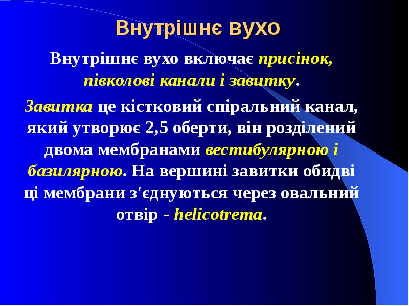Внутрішнє вухо Внутрішнє вухо включає присінок, півколові канали і завитку. Завитка