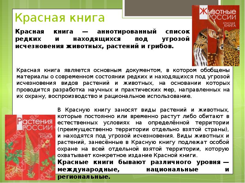 Красная книга