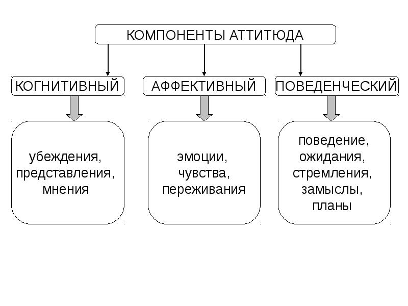 Схема анализа структуры социальной установки по м смиту