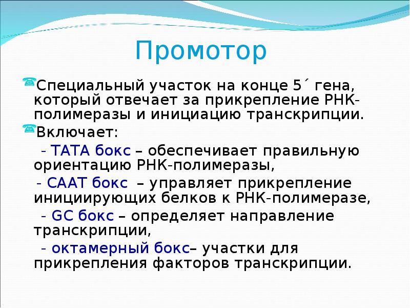 Строение гена презентация 10 класс