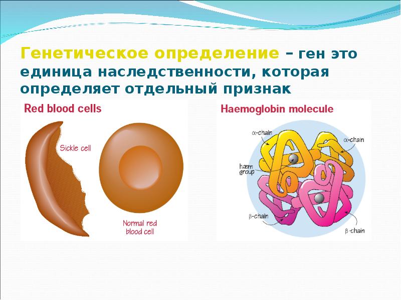 Генетическое определение