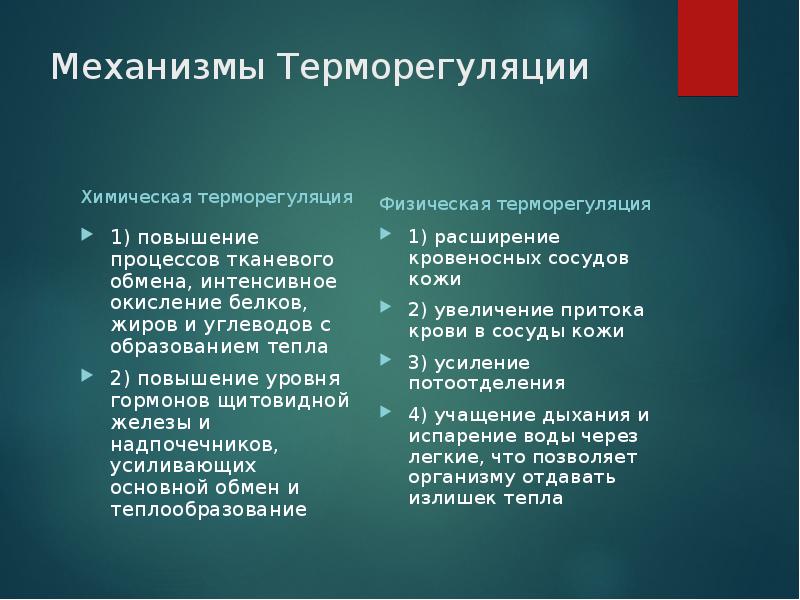 Химическая терморегуляция картинки