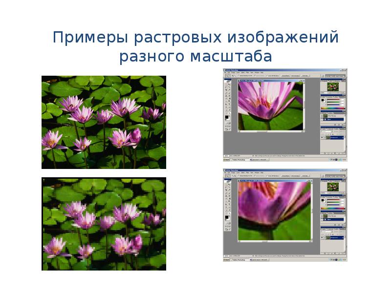 Ошибка чтения растрового изображения в файле coreldraw