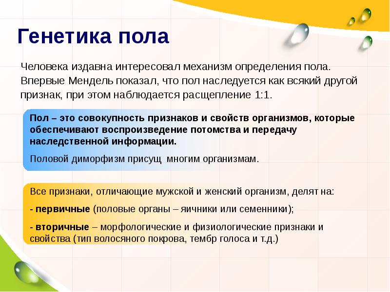 Пол информации