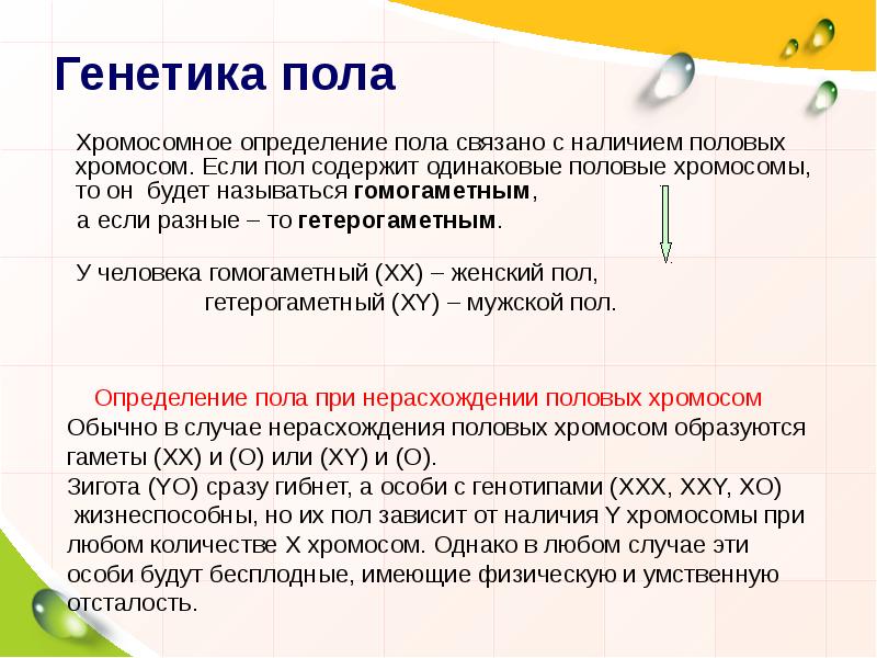 Балансовая теория определения пола