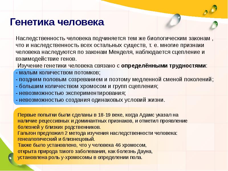 Генетика как наука презентация