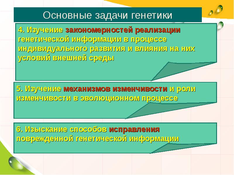 Генетика подготовка к егэ презентация